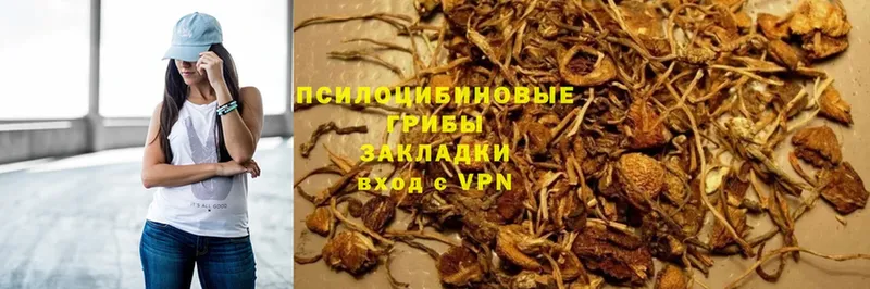 Галлюциногенные грибы MAGIC MUSHROOMS  наркота  Верхний Уфалей 